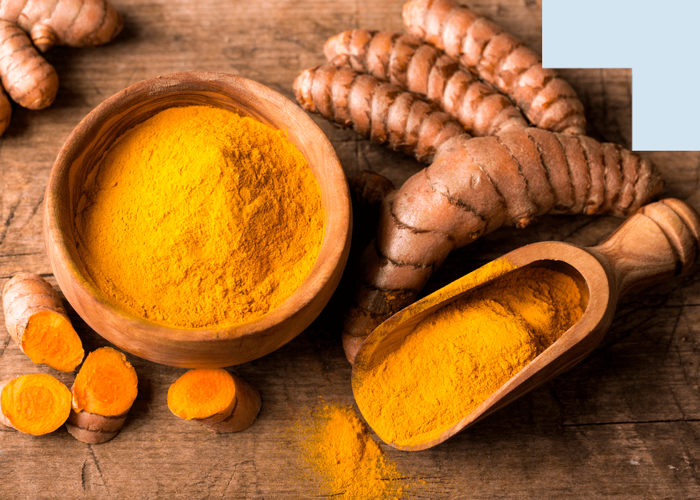 Poudre de curcuma| racine de la plante curcuma longa