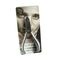 Pince Ongles Inox 12cm