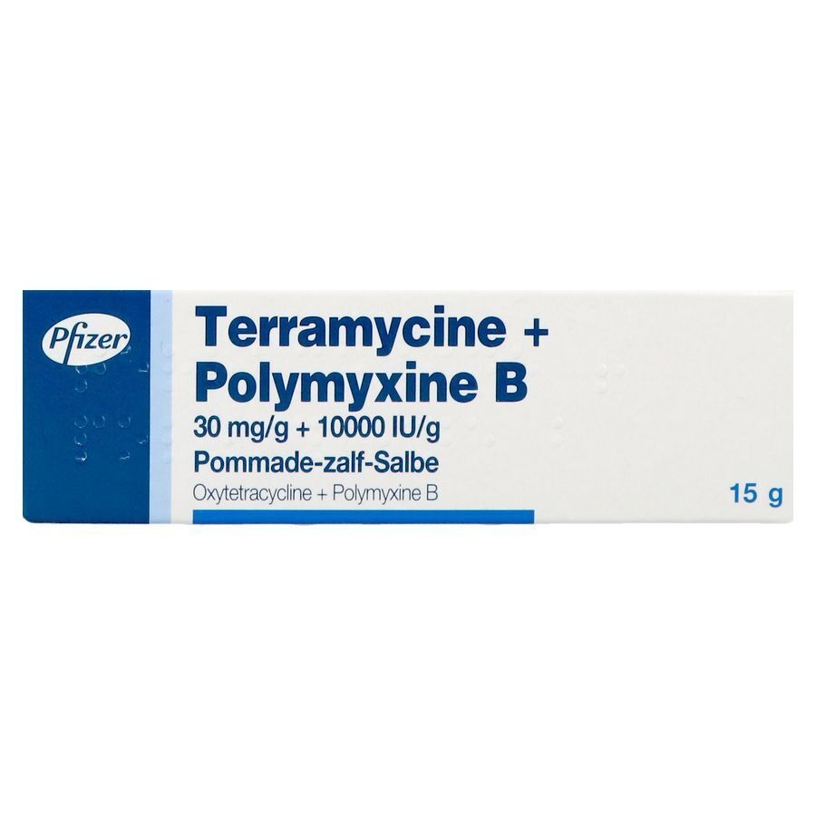 Terramycine Ung Derm 15g