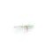Stellastic Coton Bande Cello 7cmx4m 35236