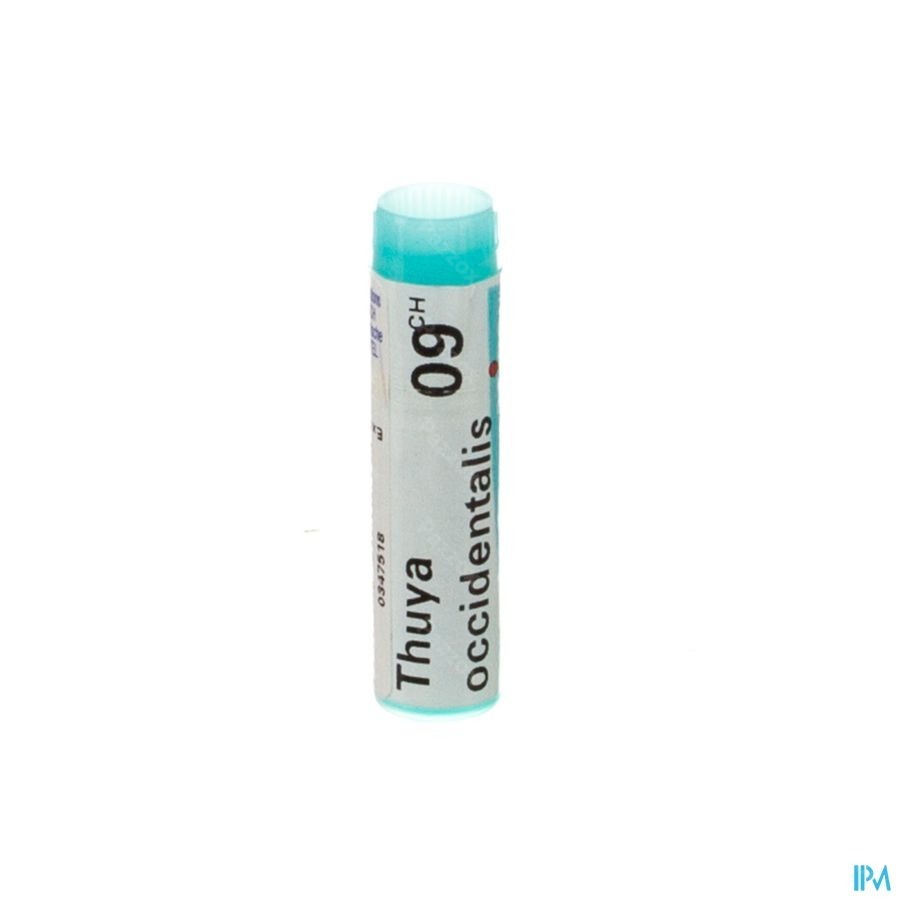 Boiron Thuya Occidentalis 9CH Globules