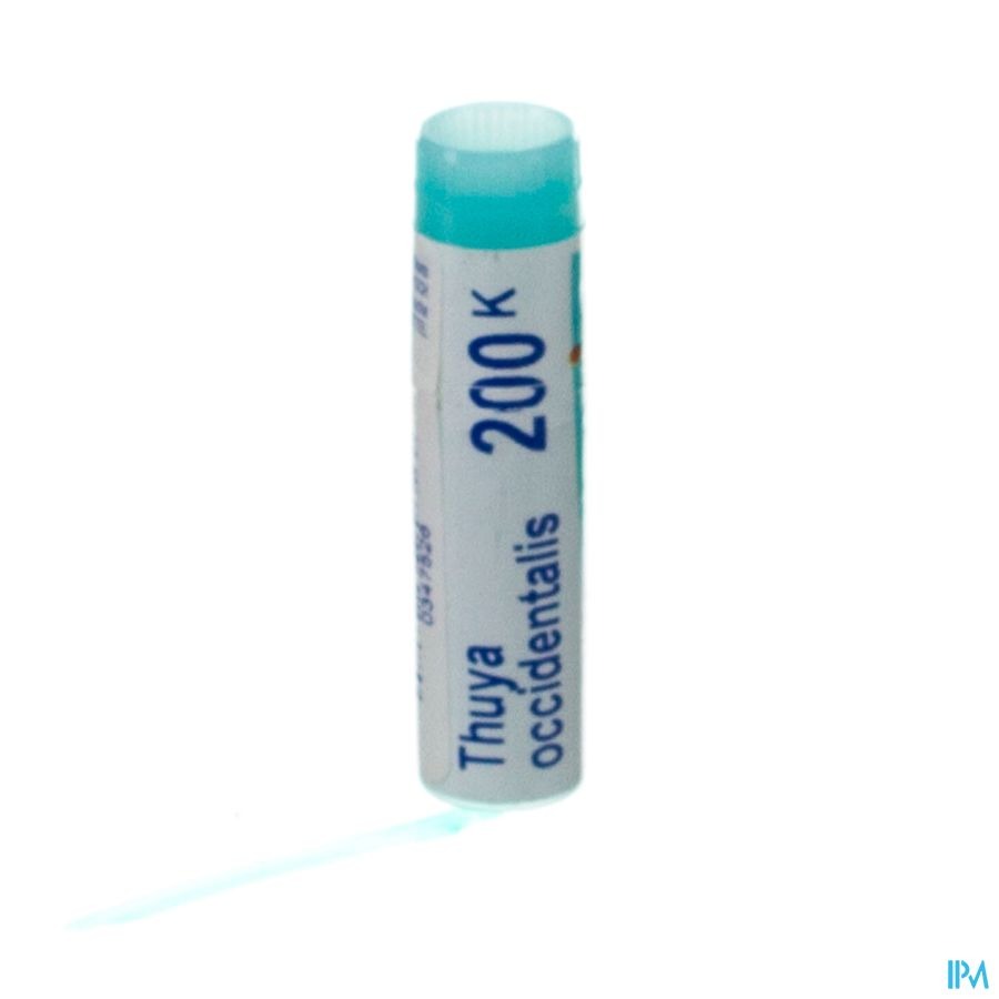 Boiron Thuy Occidentalis 200K Globules