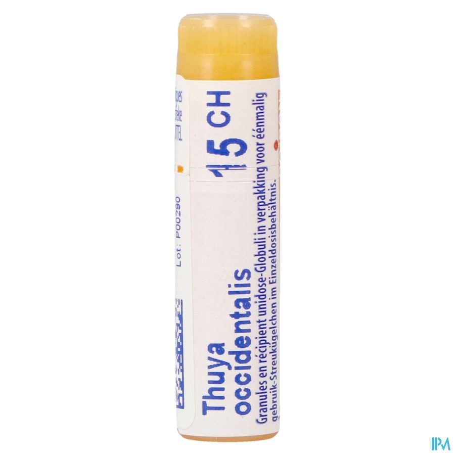 Boiron Thuya Occidentalis 15CH Globules