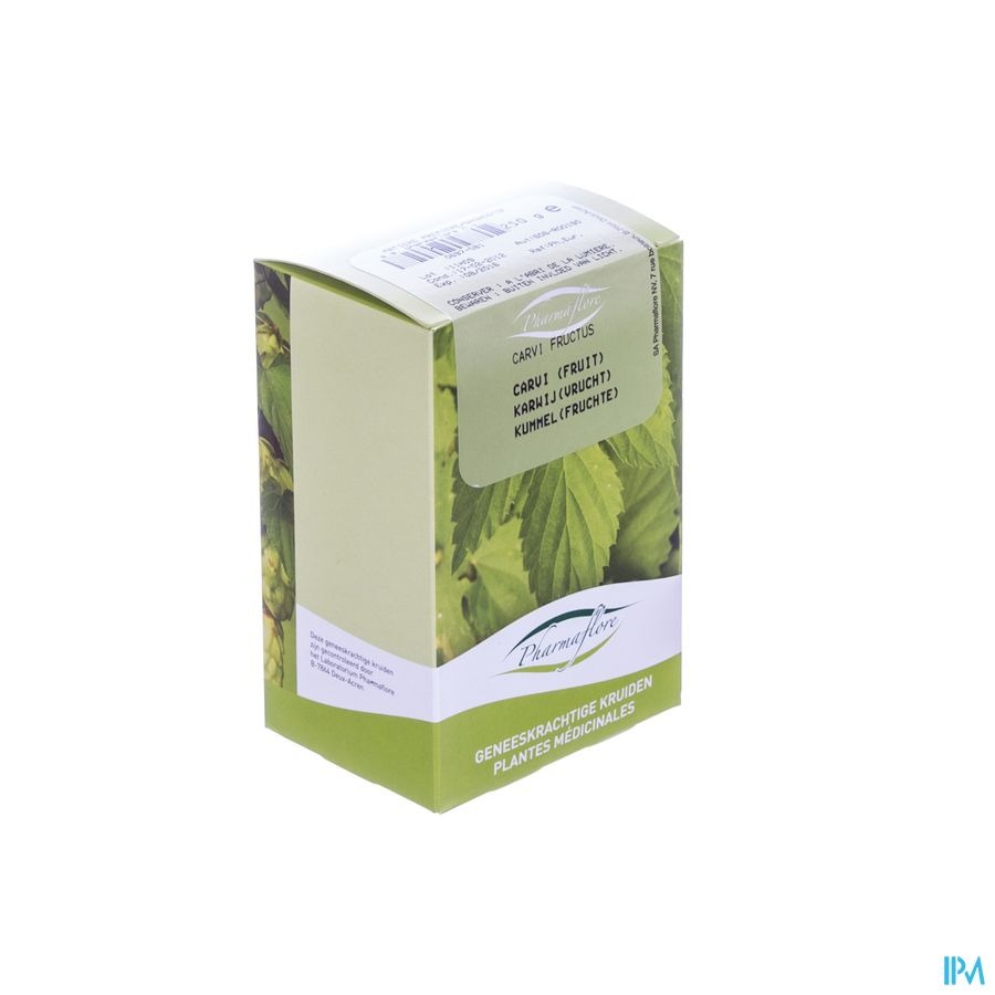 Carvi Fruit Boite 250g Fag