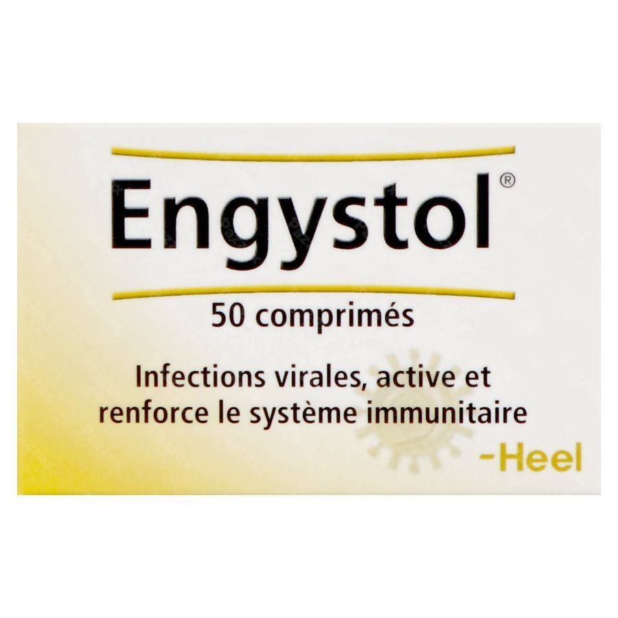 Engystol Comp 50 Heel