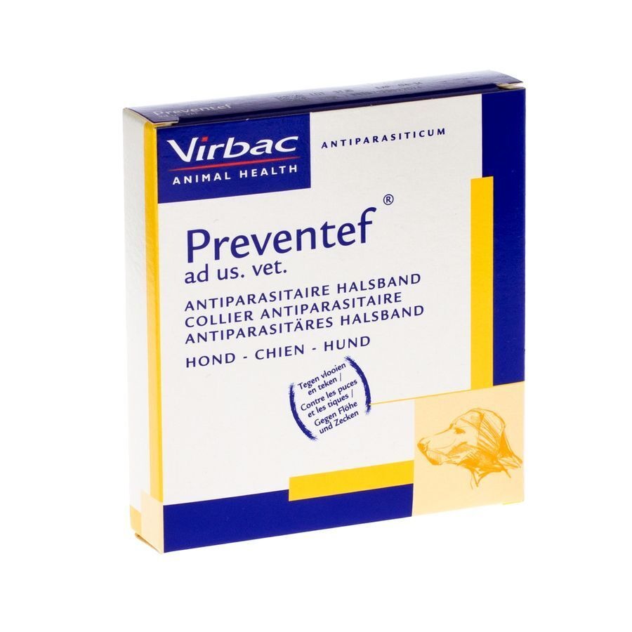 Preventef Collier Chien