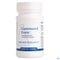 Gammanol Forte Biotics Comp 90