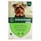 Advantage 40 Chiens <4kg 4x0,4ml