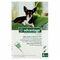 Advantage 40 Chiens <4kg 4x0,4ml
