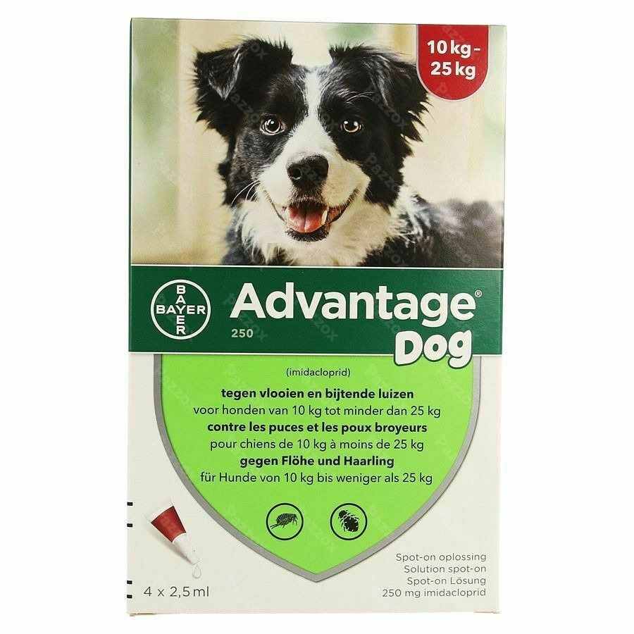 Advantage 250 Chiens 10<25kg 4x2,5ml