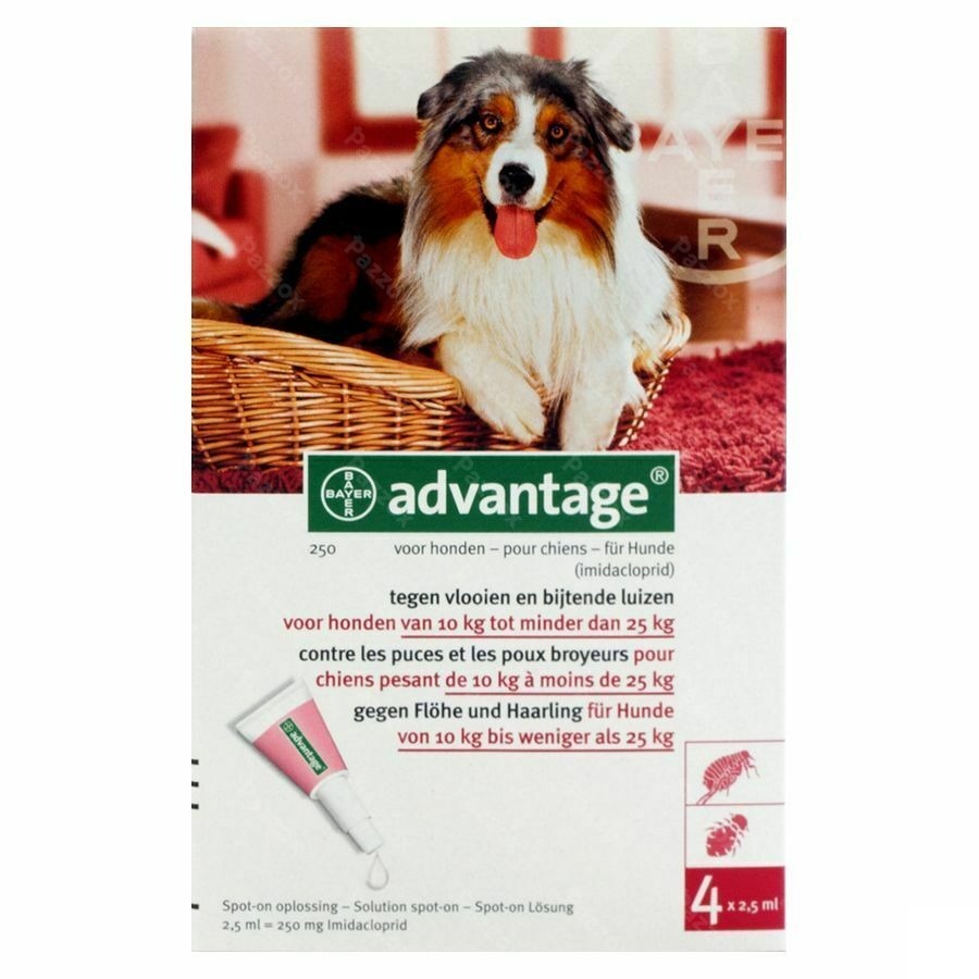 Advantage 250 Chiens 10<25kg 4x2,5ml