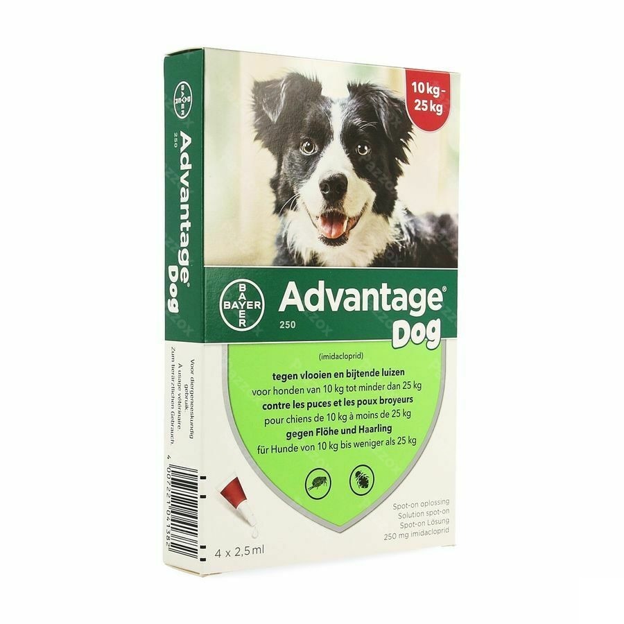 Advantage 250 Chiens 10<25kg 4x2,5ml