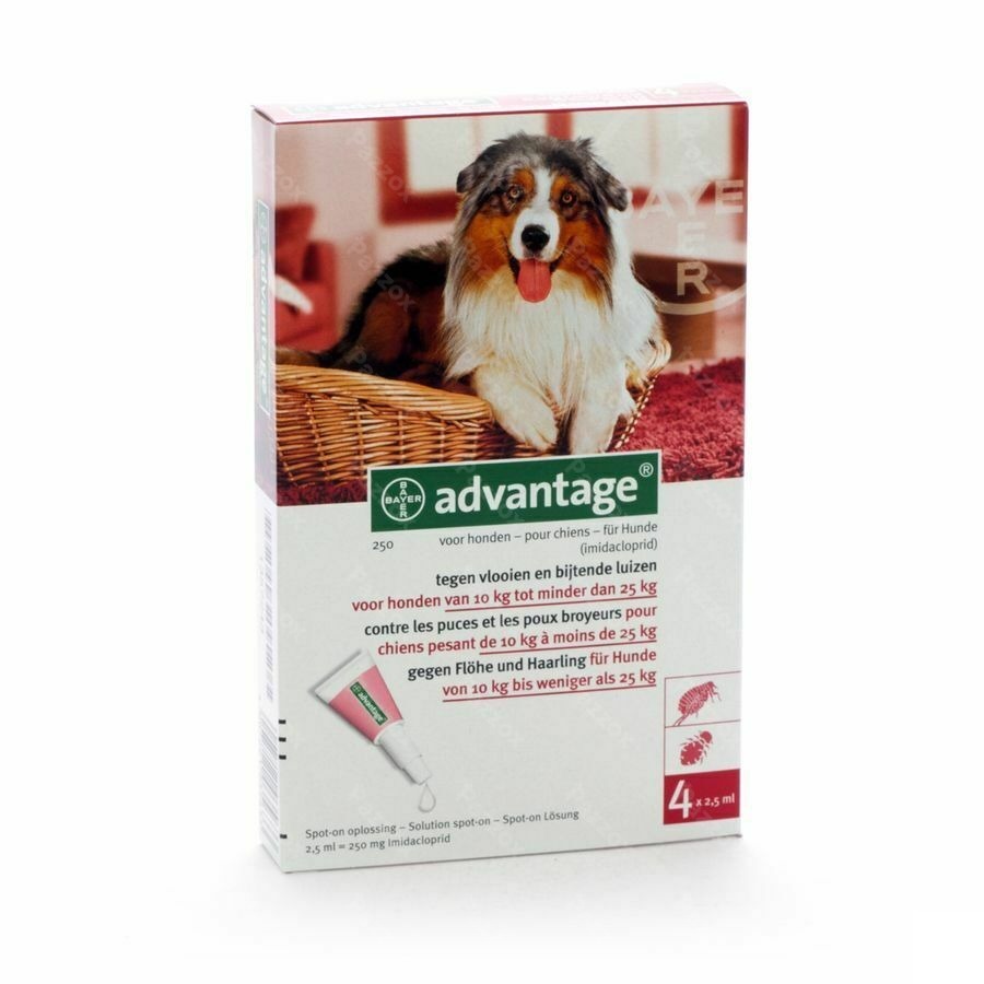 Advantage 250 Chiens 10<25kg 4x2,5ml