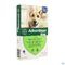 Advantage 400 Chiens 25<40kg 4x4ml