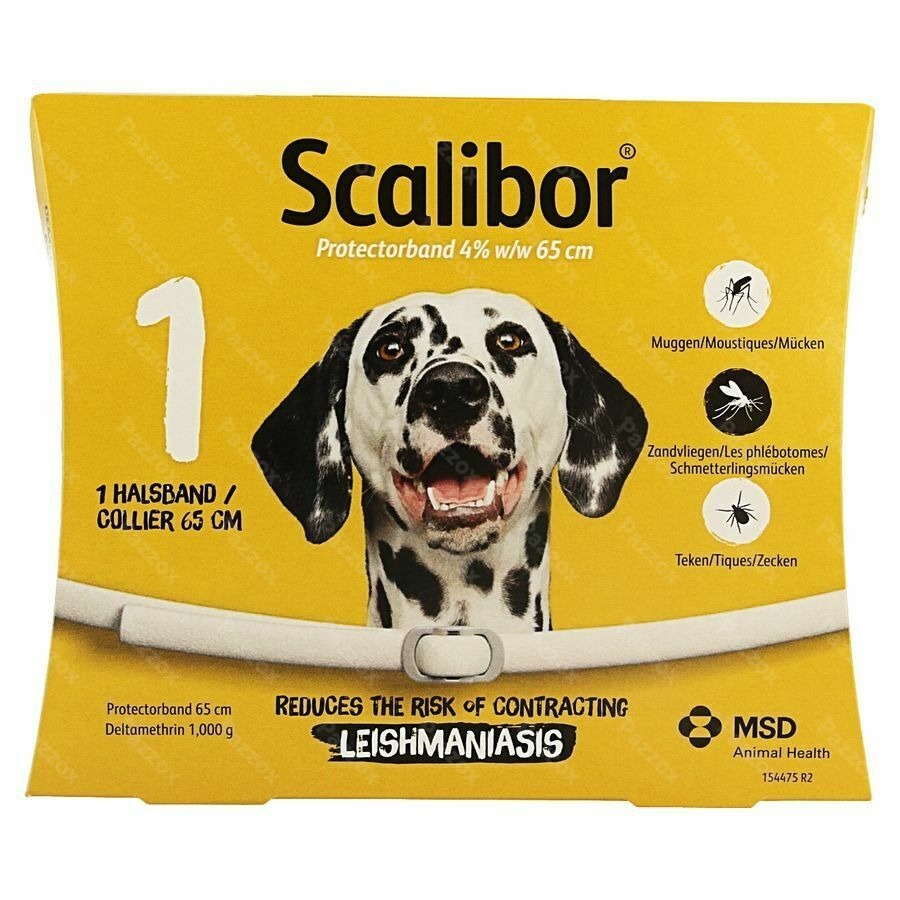Scalibor Collier 65cm Chien