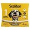 Scalibor Collier 65cm Chien