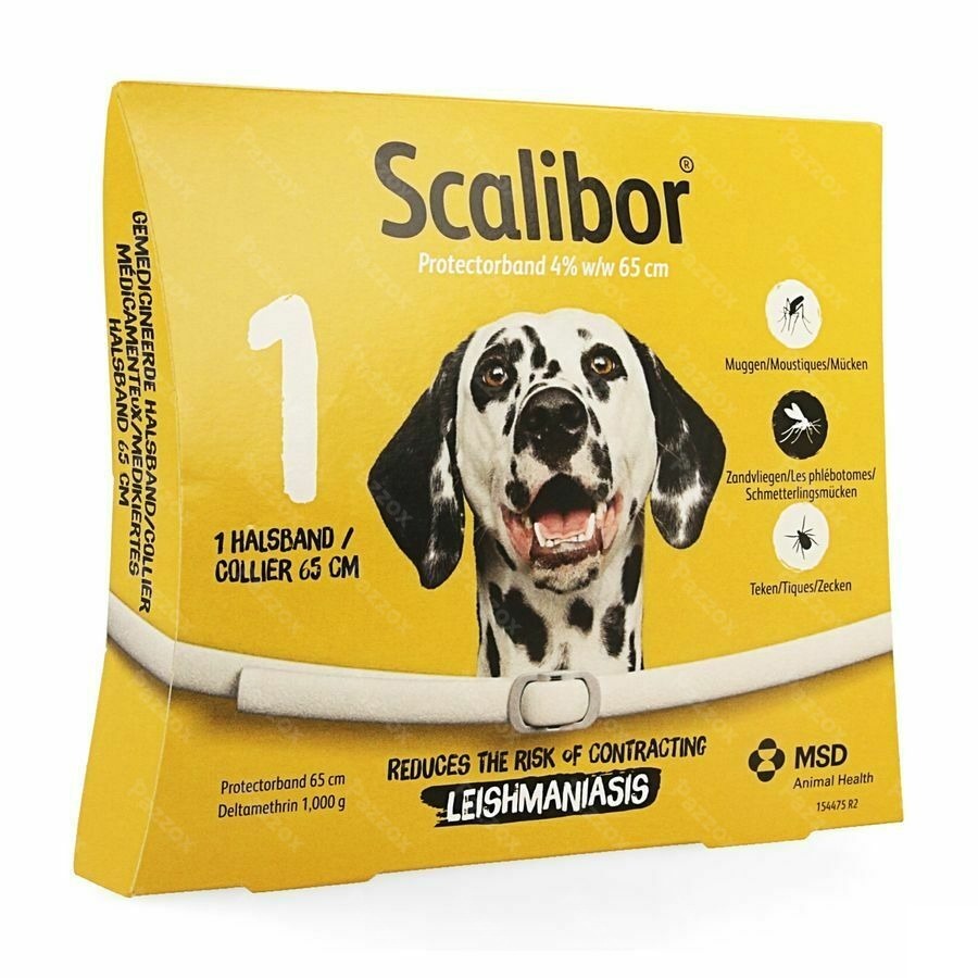 Scalibor Collier 65cm Chien