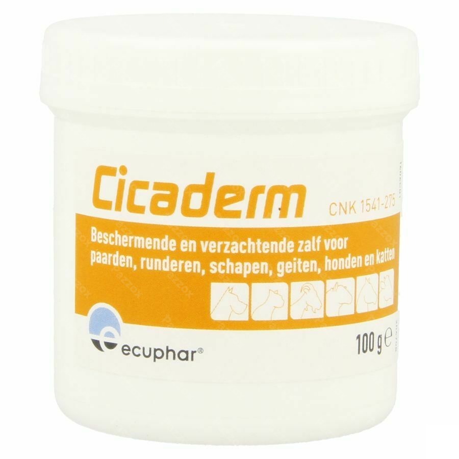 Cicaderm Pommade 100g