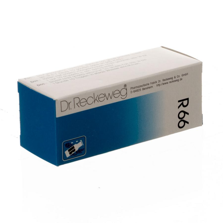 Reckeweg Dr. R66 Gutt 50ml