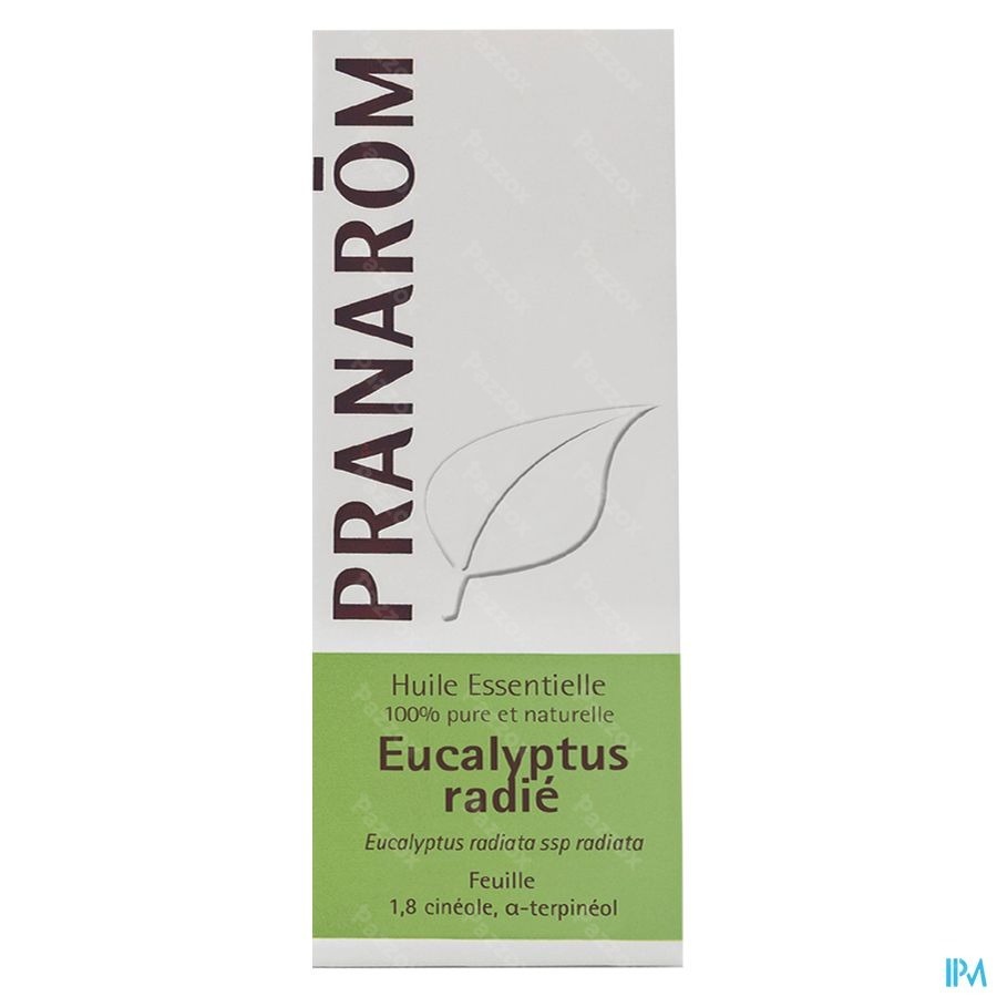 Pranarôm Huile Essentiel Eucalyptus Radiata 10ml