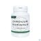 Carduus Marianus Comp 100x100mg Dynar