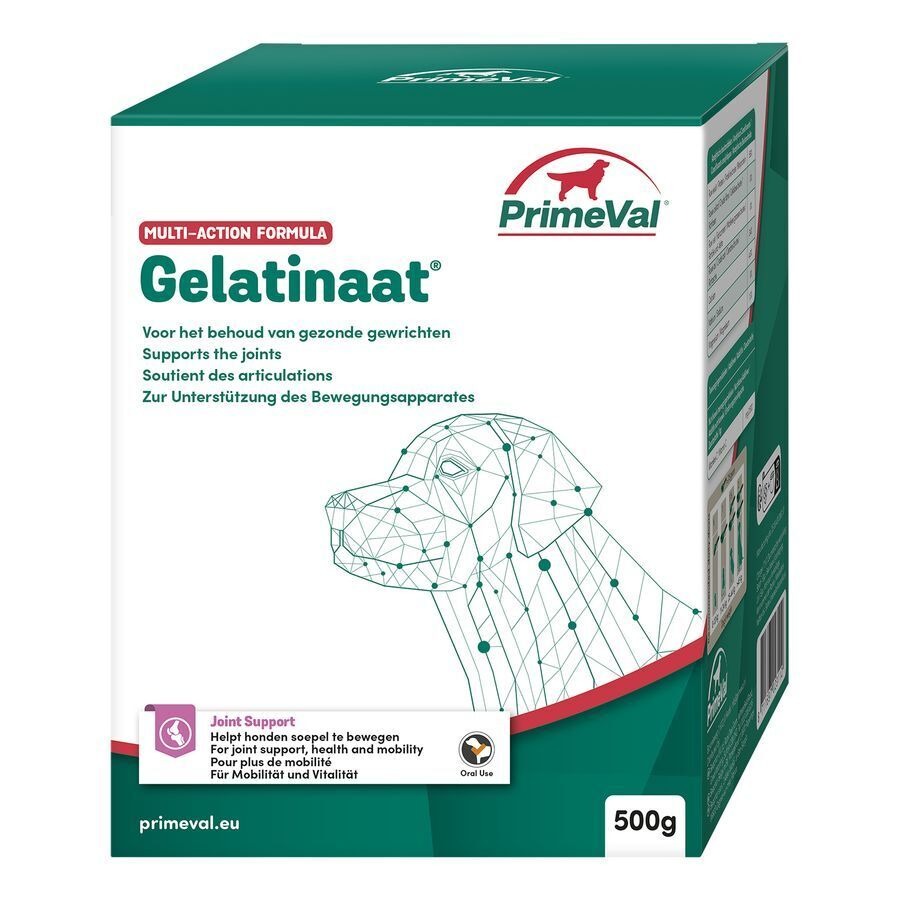 Primeval Chiens Artrose Gelatinate 500g