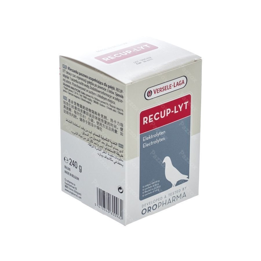Recup-lyt Pdr Sachet 12x20g