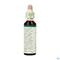 Bach Flower Remedie 15 Holly 20ml