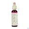 Bach Flower Remedie 22 Oak 20ml