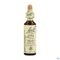 Bach Flower Remedie 30 Sweet Chestnut 20ml