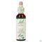 Bach Flower Remedie 33 Walnut 20ml