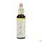 Bach Flower Remedie 35 White Chestnut 20ml