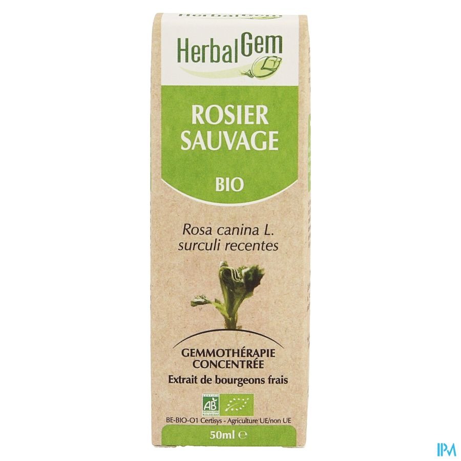 Herbalgem Rosier Sauvage Macerat 50ml