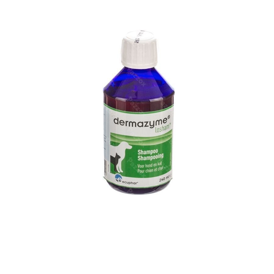 Dermazyme Losham Base Shampooing 240ml