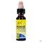 Bach Rescue Gouttes Nuit 10ml