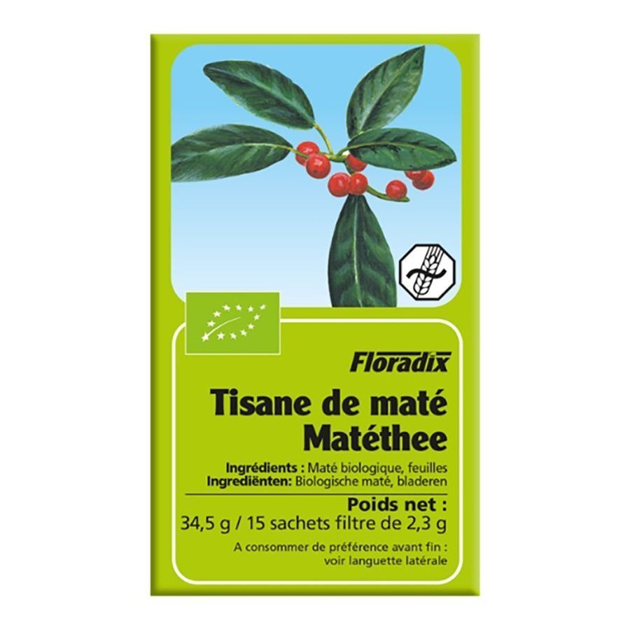 Salus Tisane Gui De Chene Bio Sach 15