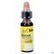 Bach Rescue Junior Gutt 10ml