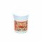 Beta-glucan 100mg Tabl 90 Deba