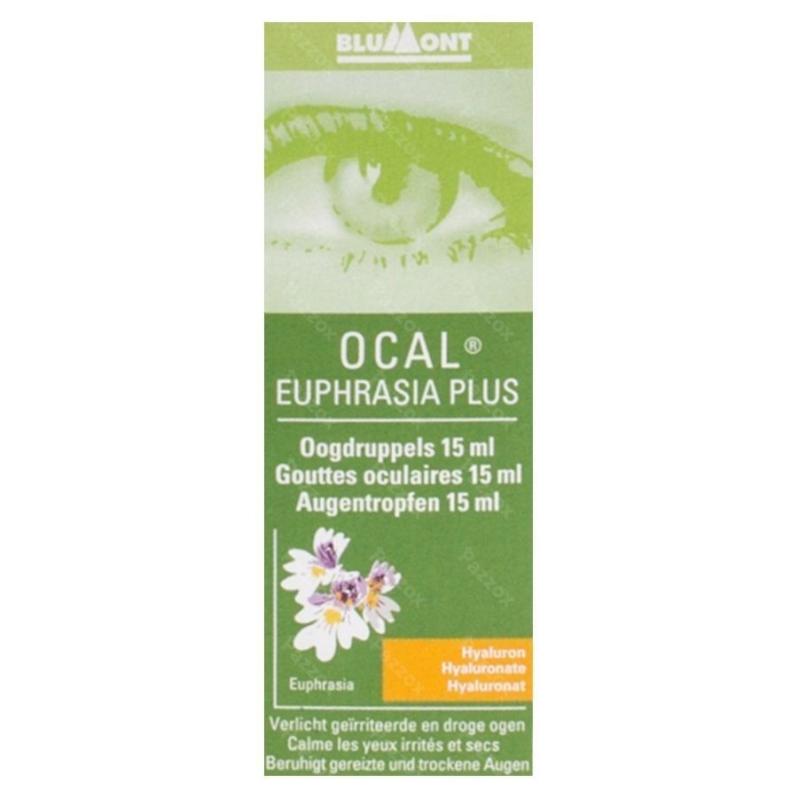 Ocal Euphrasia Plus Gutt Oculaire 15ml