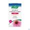 A.Vogel Echinaforce Comprimés à Croquer Forte + Vitamine C 60 Pièces