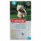 Advantix 100/ 500 Chiens 4<10kg Fl 6x1,0ml