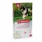 Advantix 250/1250 Chiens 10<25kg Fl 6x2,5ml
