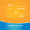 Redoxvita Double Action 1g Vitamine C & Zinc Immunité 30 Comprimés Effervescents