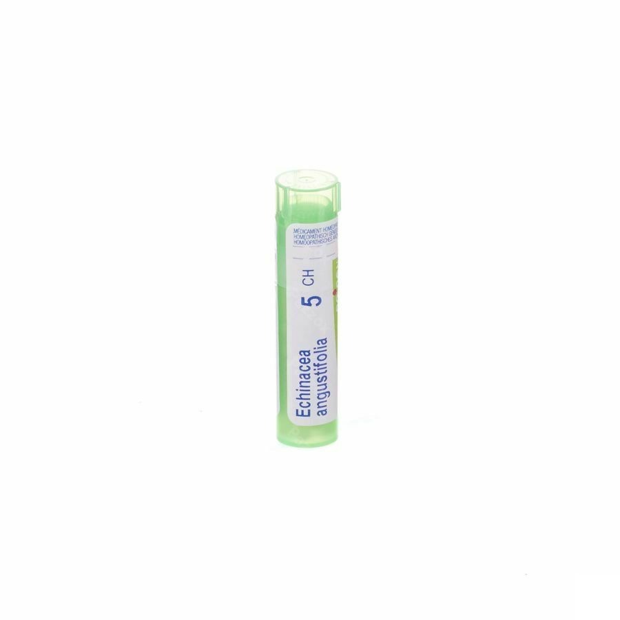 Boiron Echinacea Angustifolia 5CH Granules 4g