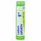 Boiron Ledum Palustre 5CH Granules 4g