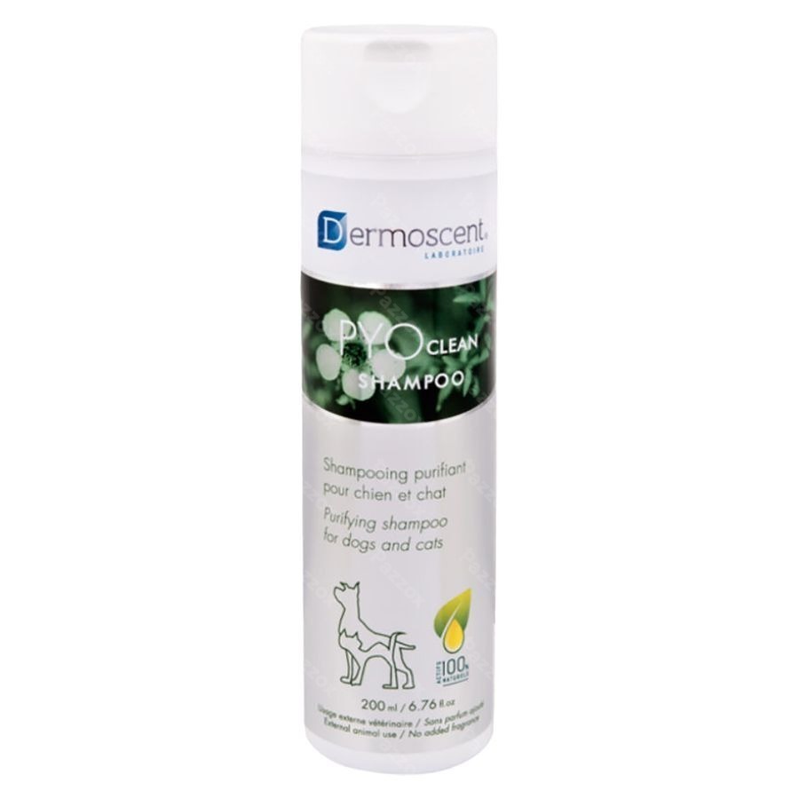 Dermoscent Pyoclean Shampoo Chien Chat Fl 200ml