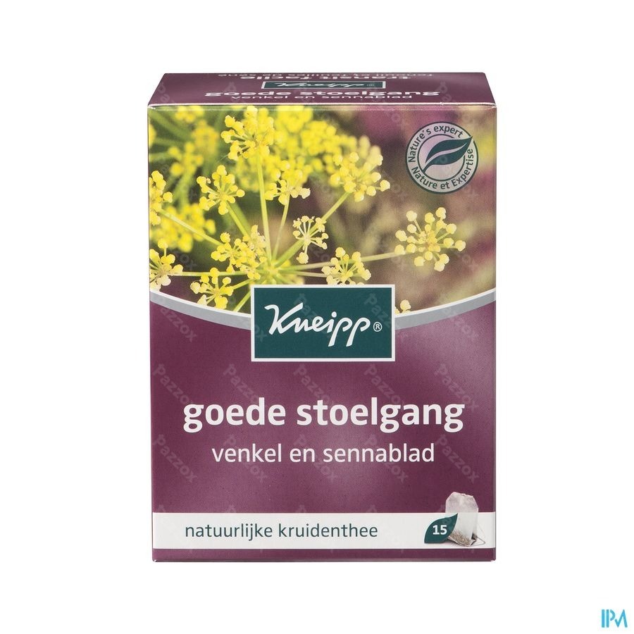 Kneipp Tisane Transit Facile Sach 15