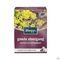 Kneipp Tisane Transit Facile Sach 15