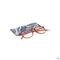 Pharmaglasses Lunettes Comp. +3.00 Brown/orange