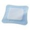 Vliwasorb Pro Pansement 10x10cm 10 32640